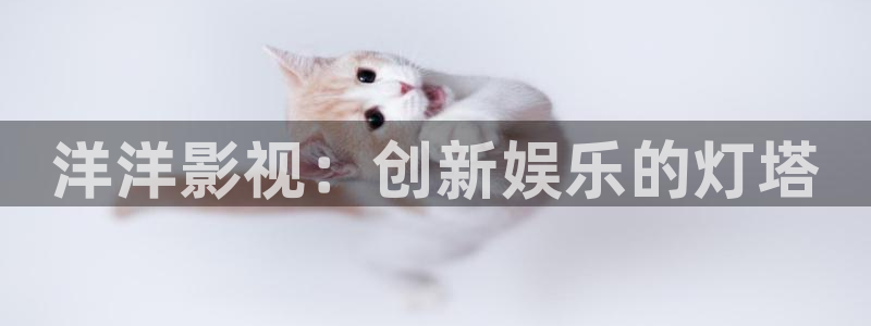 蓝莓在线观看免费播放电视剧：洋洋影视：创新娱乐的灯塔