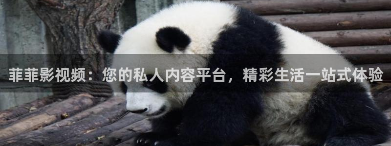 蓝莓影院在线观看