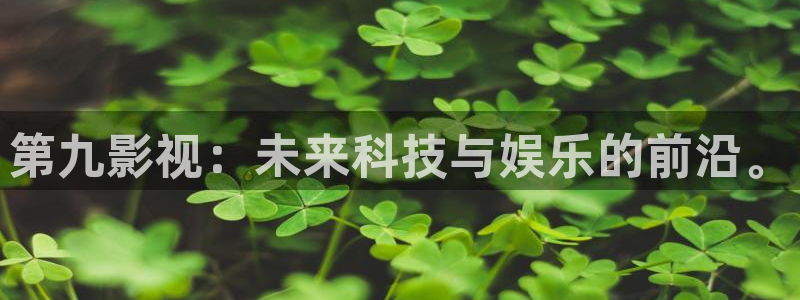 蓝莓影视网站：第九影视：未来科技与娱乐的前沿。